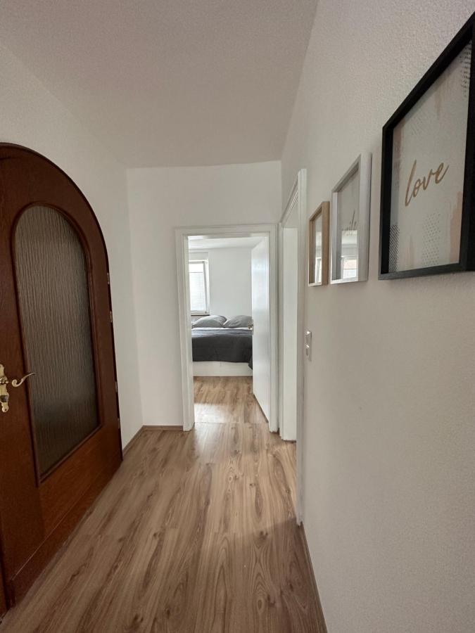 Apartment Lion *