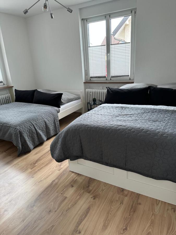 Lion Apartment